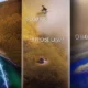 Best Drones Under $500: Advanced Features on a Budget