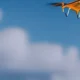 Drone Range Extender: Boost Your Flight Distance & Signal Reliability